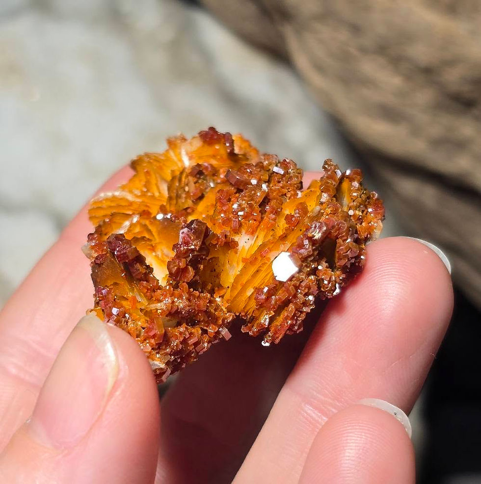 Thumbnail: vanadinite on baryte specimen hand held side view