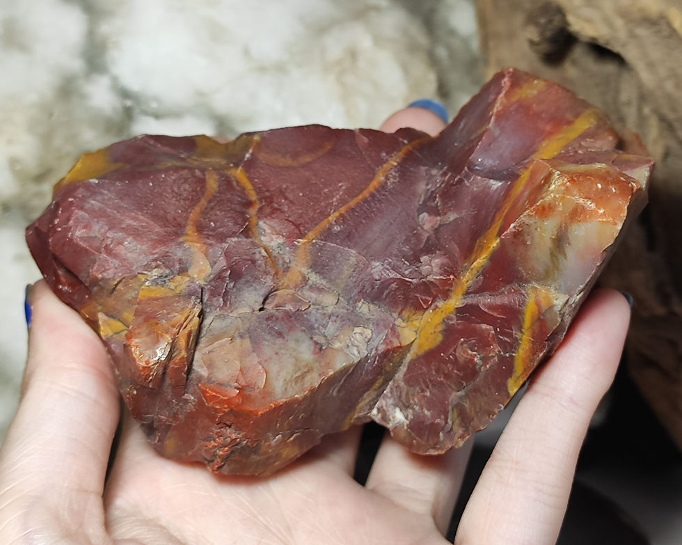 Thumbnail: beautifully coloured fossil wood from arizona hand held side view