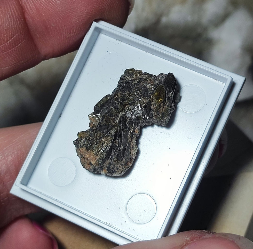 sphene crystal from brazil boxed and labelled hand held top view