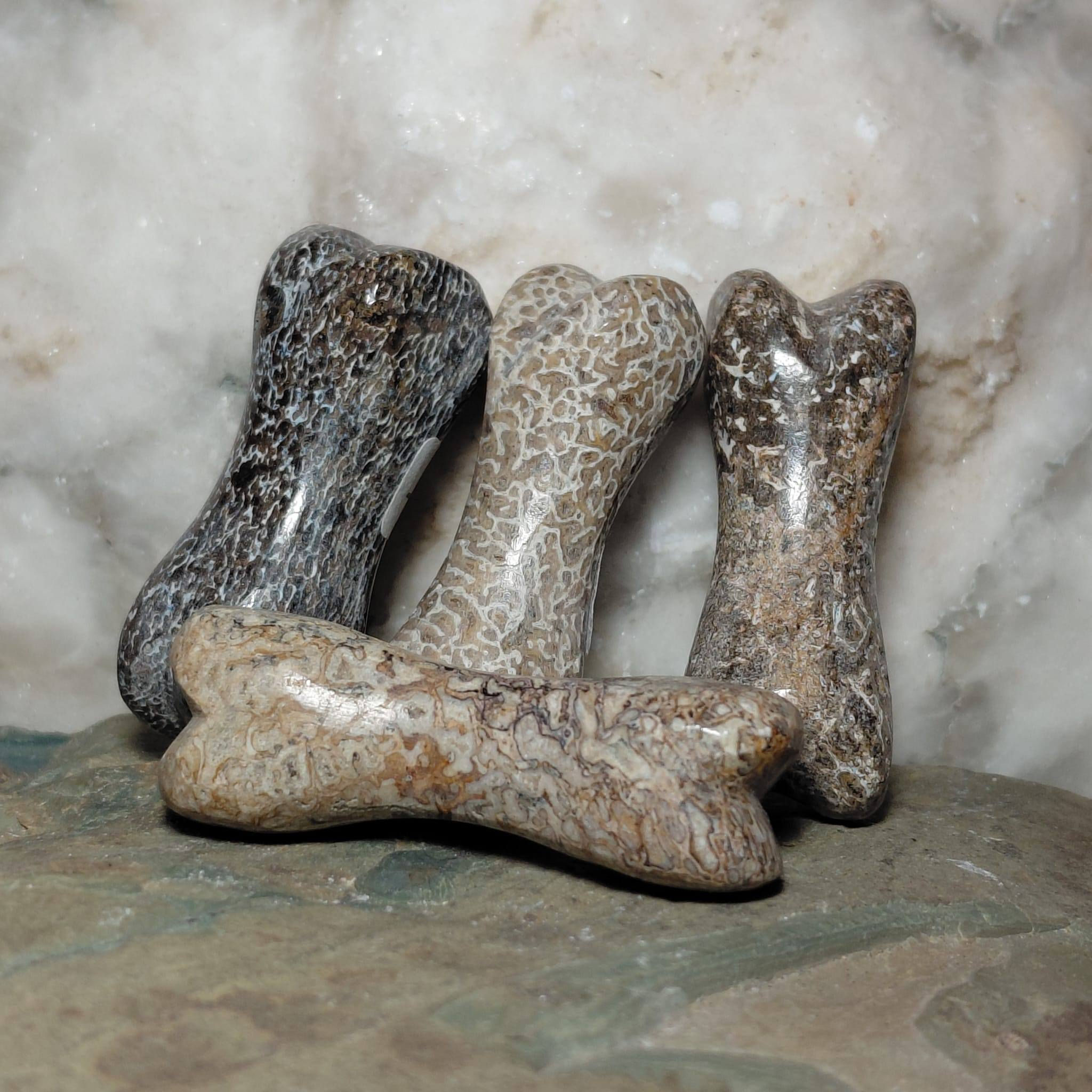atlasaurus bone carvings side view