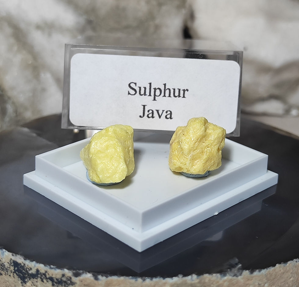 sulphur specimens boxed and labelled side view