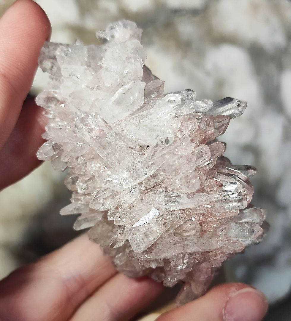 Thumbnail: Sacred Pink Lemurian Cluster (Rare)