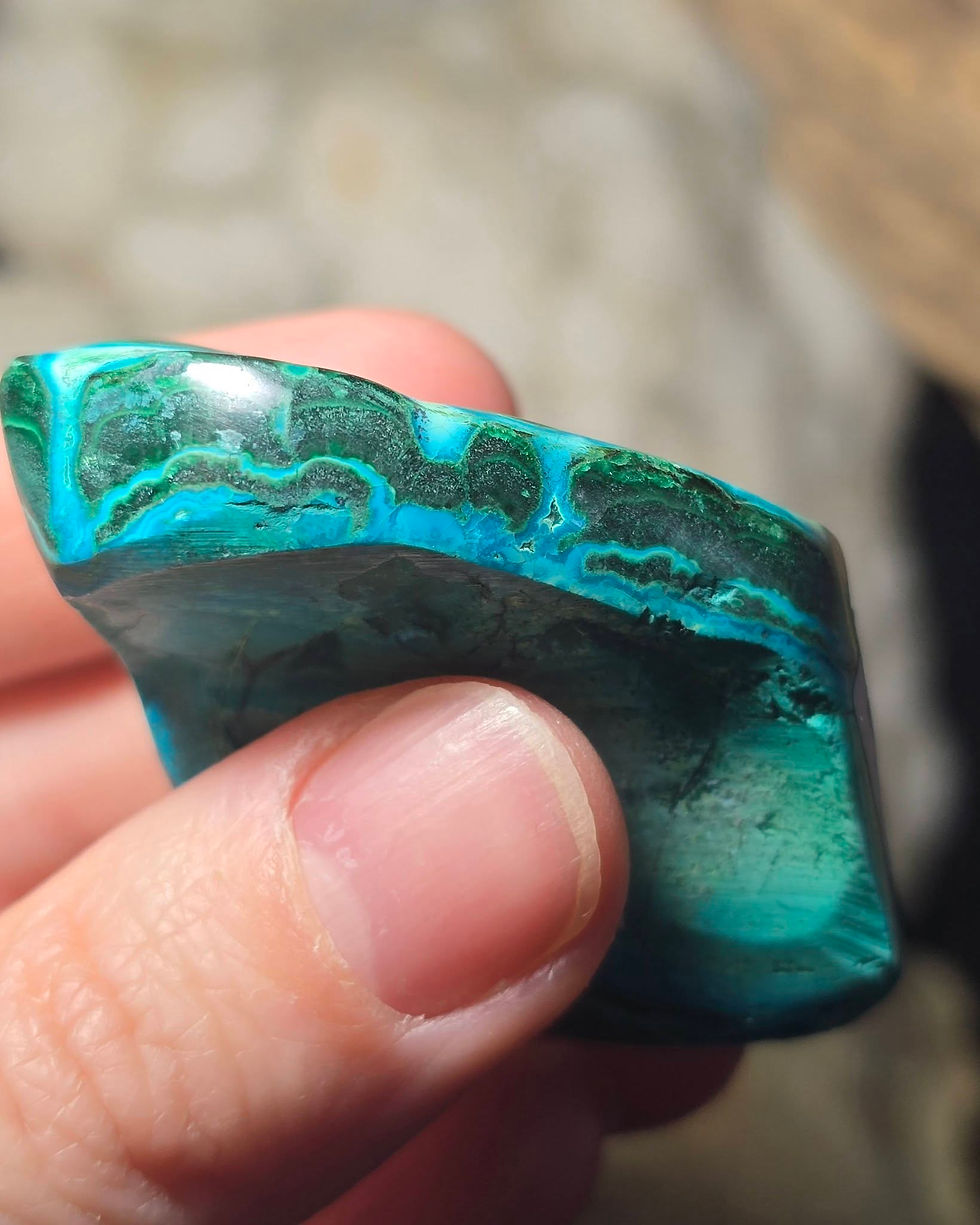 Thumbnail: malacholla hand held side view