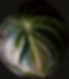 IMG_5734_edited.png