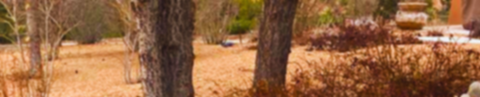 SFRDPHOTOABOUT72225 (1)_edited.png