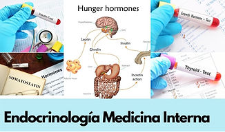 Se observan una composición con diferentes hormonas,  y como funciona el sistema endocrinolologico con una leyenda de endocrinologia y medicina interna