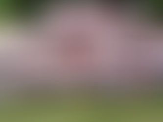 Know the participants of #MensRightsMeet2018