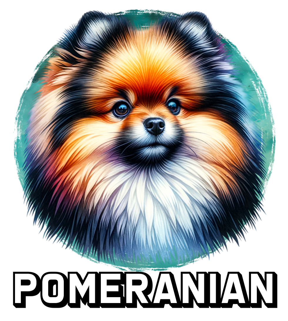 Pomeranian