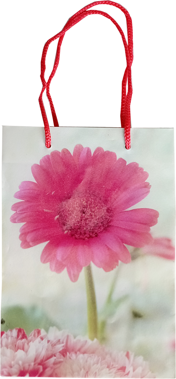 SACOLA DE PRESENTE 17X12X5,5