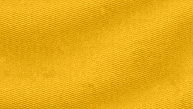 Carnival Blackout Ochre