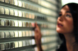 Roller Shutter -Shop Grille