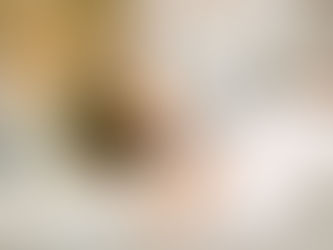 Renouncing Turkish citizenship