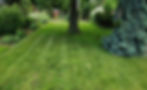 brantfordlawnservice