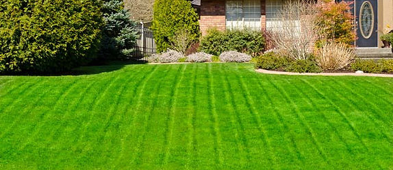 landscapingwestbrant.jpg