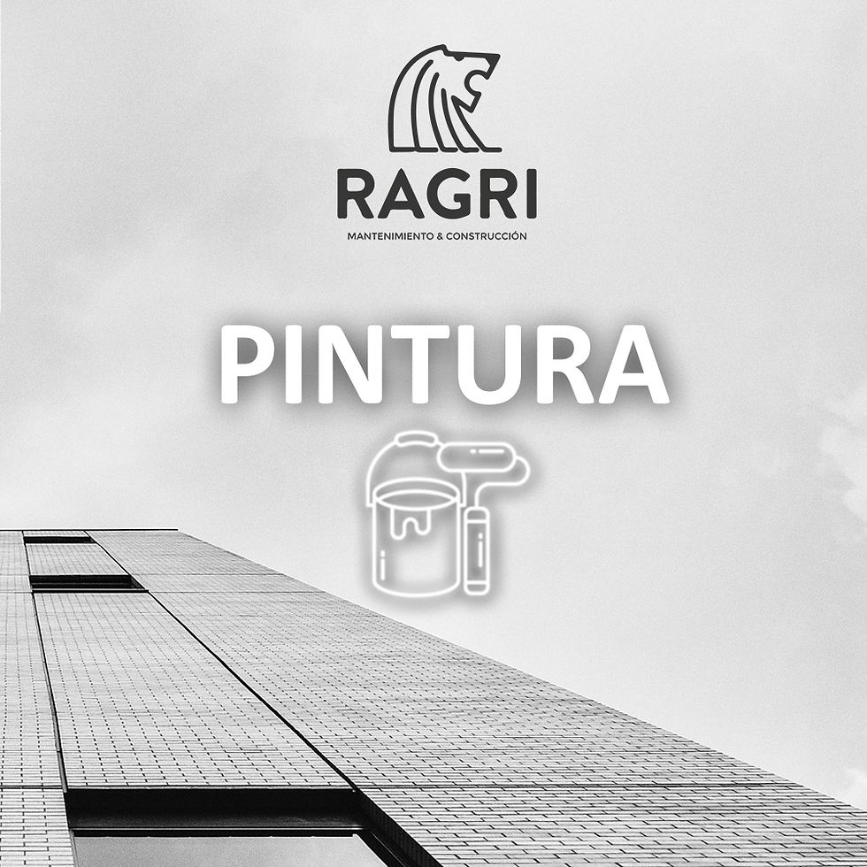 RAGRI PINTURA