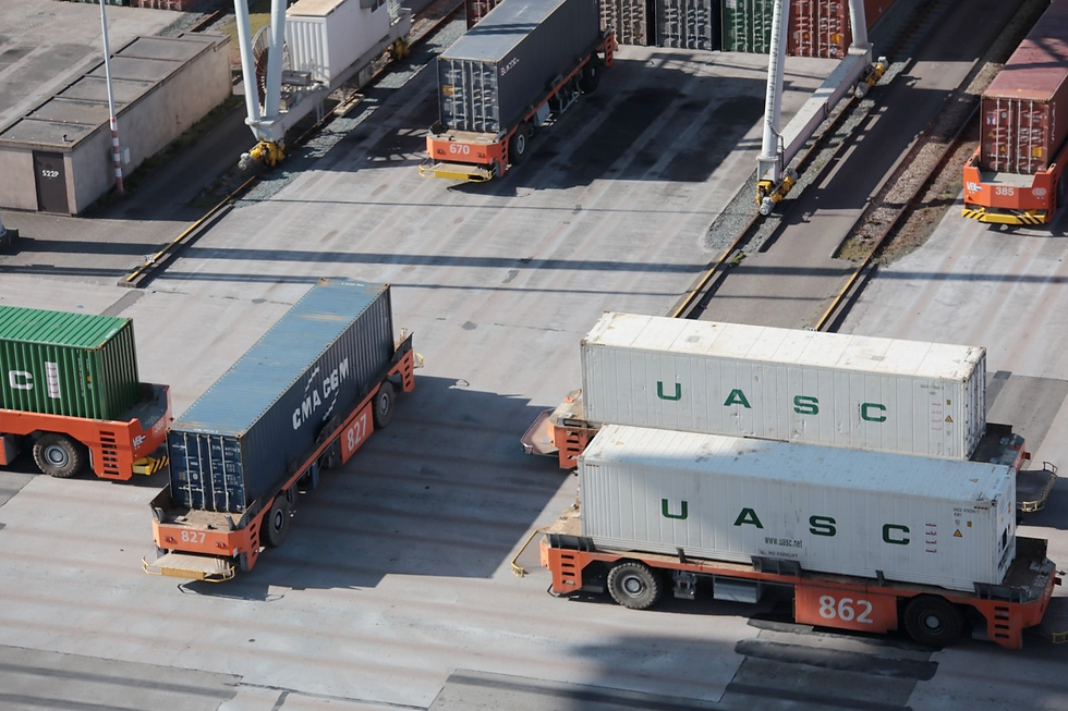 UAVs with Containers in Port
