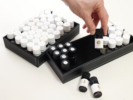 資格コースいろいろです