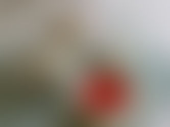 ２０２０年８月アロマサロンご予約可能日