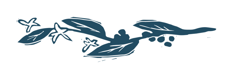 Open Book Coffee Divider December (2).png