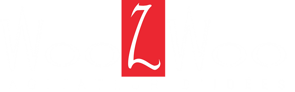 logo_WZW_blanc_vectorisé.png