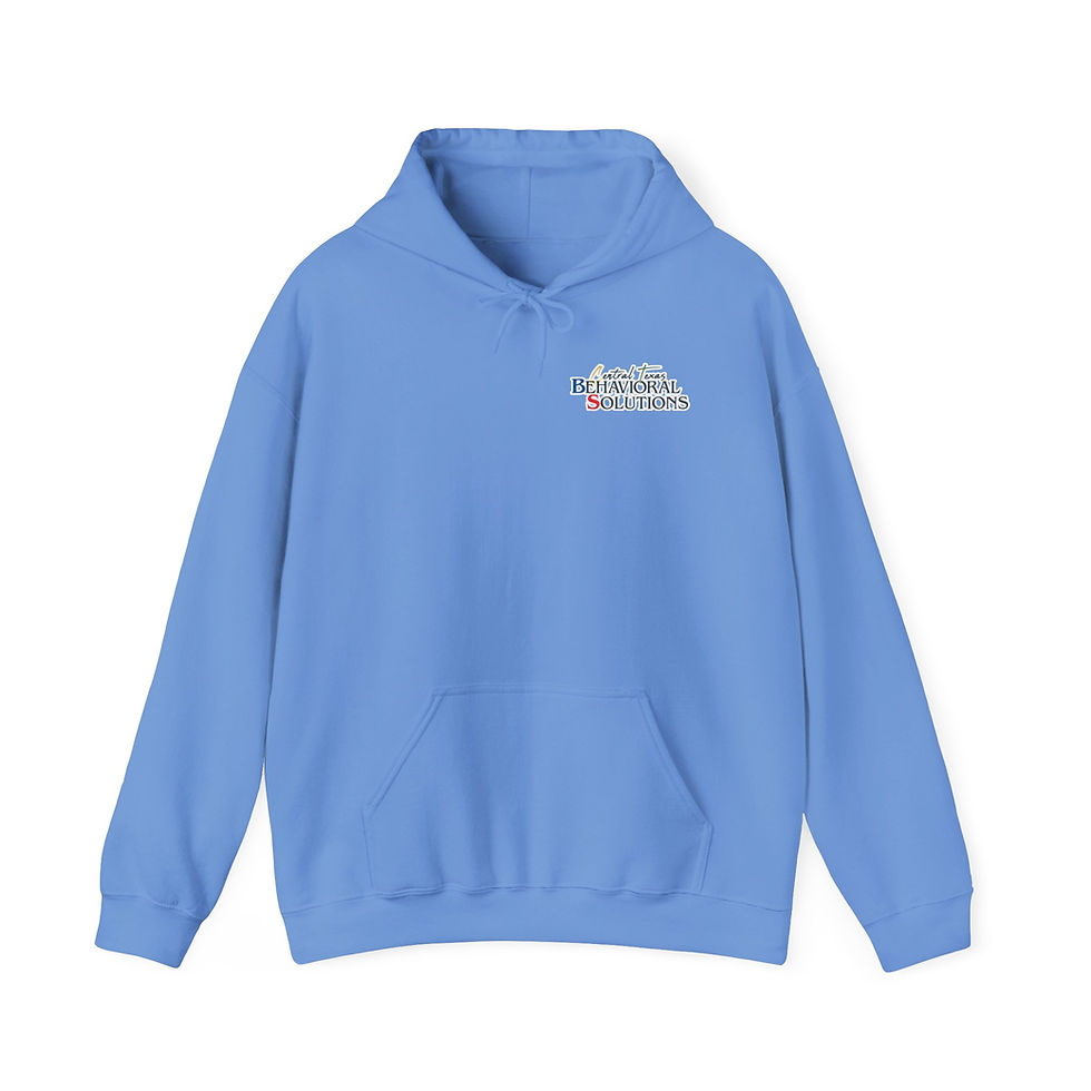 Thumbnail: Hoodie — Subtle Corporate Logo Pullover (Behavioral Solutions)
