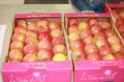 plateau Coop du pilat