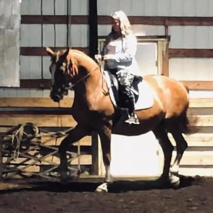 476920734_1224835992396710_4848115321384494908_n