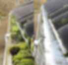 Professional gutter cleaning service keeping property drainage clear