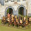 Miniature : Cavalerie Impériale romaine (x16)