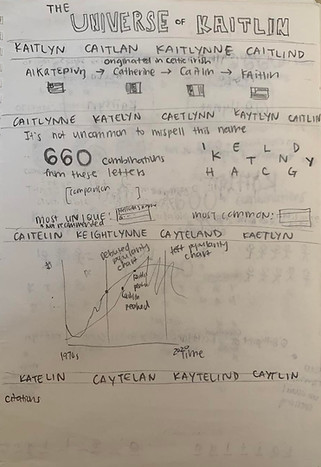 KaitlinInfographicLayout3.jpg