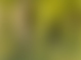 How to Conquer the Fear of Death