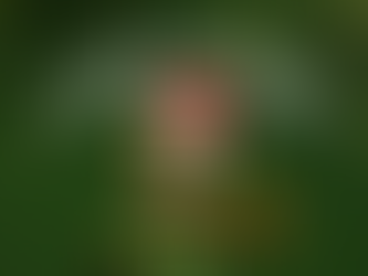 Photo of maui waui in a santa hat. writing above reads: hoppy holidays