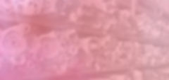 WomanWorkoutWHBanner.jpg