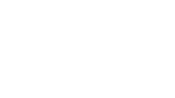 Bronze Sponsor