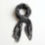 Branded Scarf