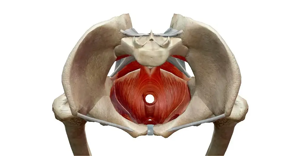 An Excerpt from Lyndsay's upcoming book Walk the Walk: A collection of essays and teachings