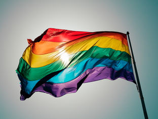 🏳️🌈 “MARRIAGE EQUALITY” буюу ижил хүйсийн гэрлэлтийг хүлээн зөвшөөрснөөр юу болох вэ?