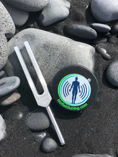 Tuning Fork and Striker