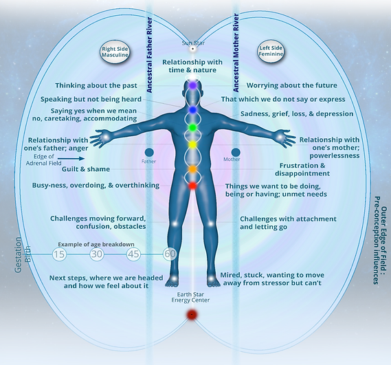 Biofield Anatomy Map