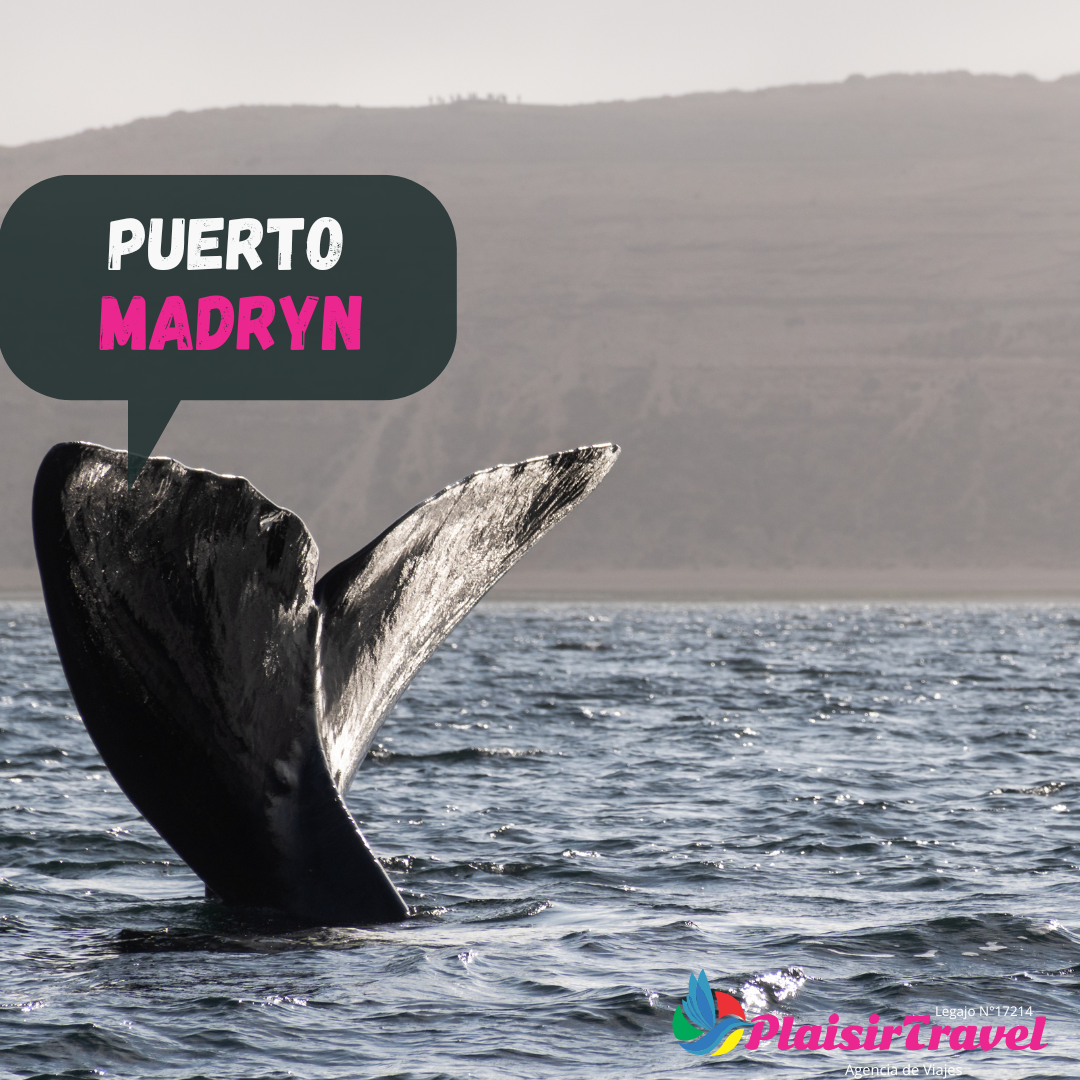 Puerto Madryn 2023