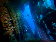Entrance to a wreck from the inside slightly on the slant.