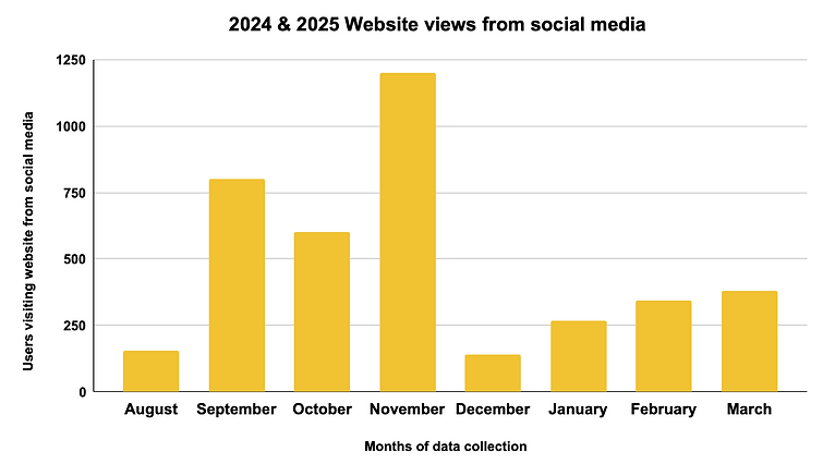 Client graph of website visitors from social media