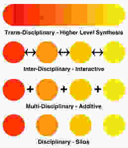 Multi-Inter-Trans