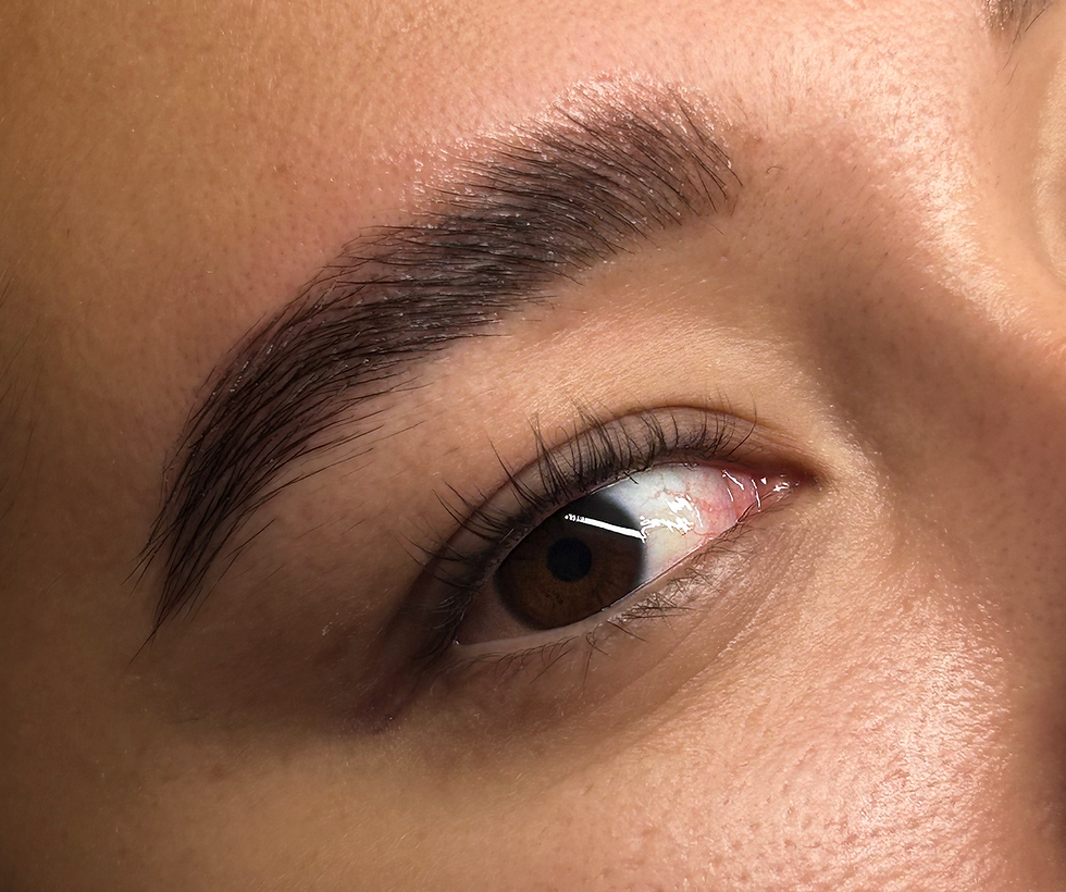 Lifted, shaped and tinted brow after the Great Brows Bundle at Wax N' Blush in Long Beach