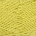Patons Dreamtime Merino 8 ply—Light Lime 4995