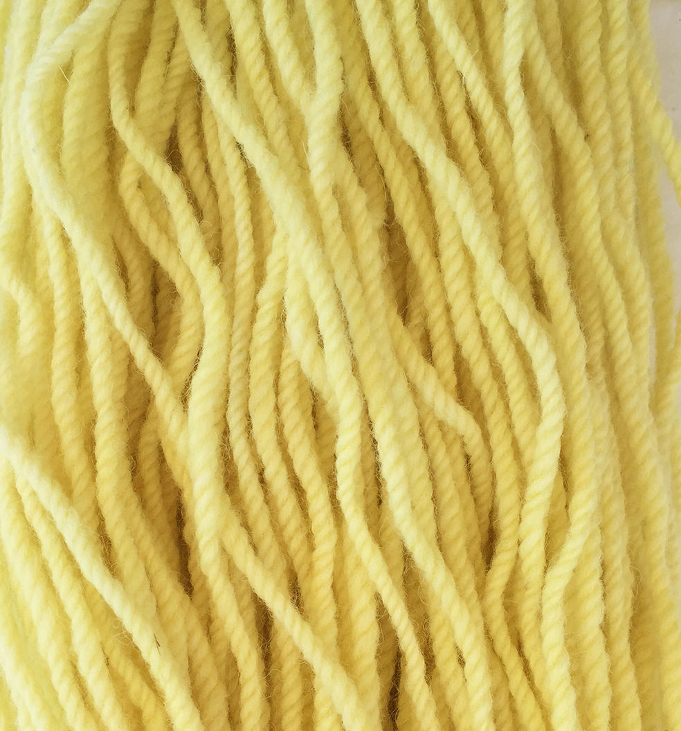 Light Yellow Perendale—Mollydale Yarns
