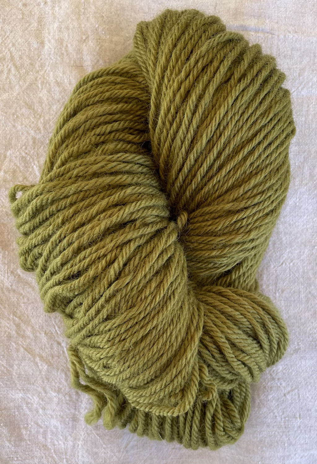 Olive New Rug Yarn—Mollydale Yarns