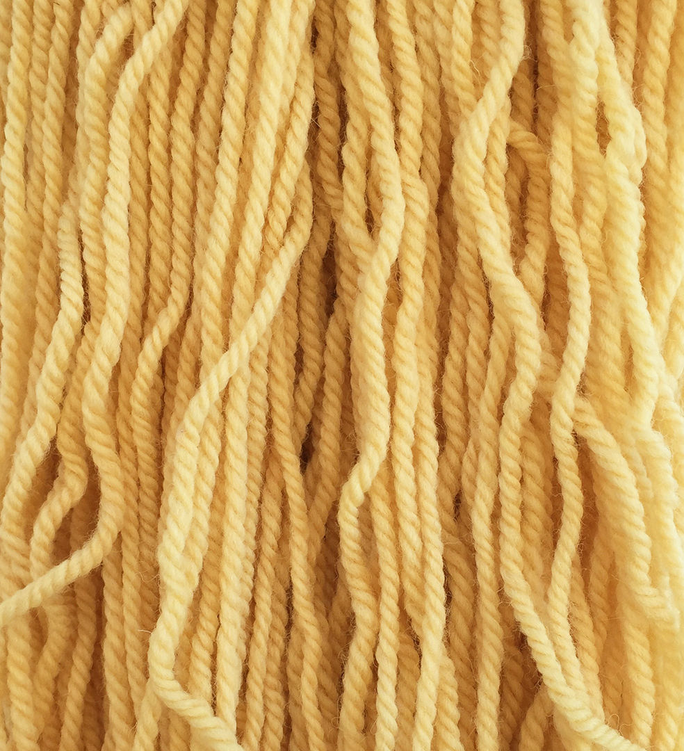 Light Orange Perendale—Mollydale Yarns