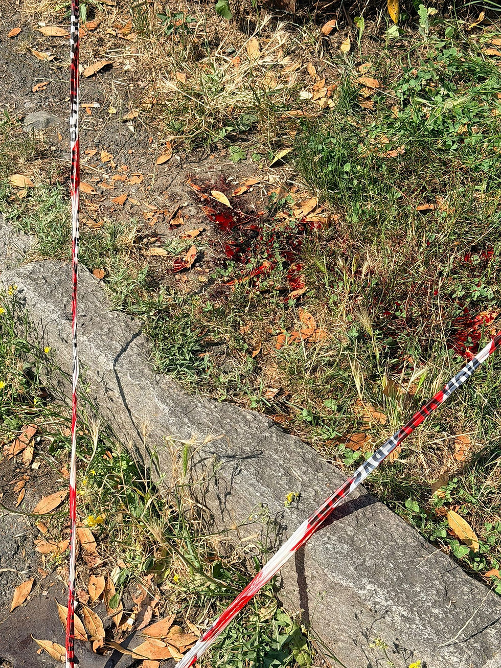 AREA SEMPIONE ROSSO SANGUE