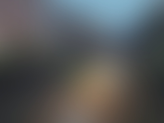 AL VIA LA BONIFICA DEL TRINCERONE